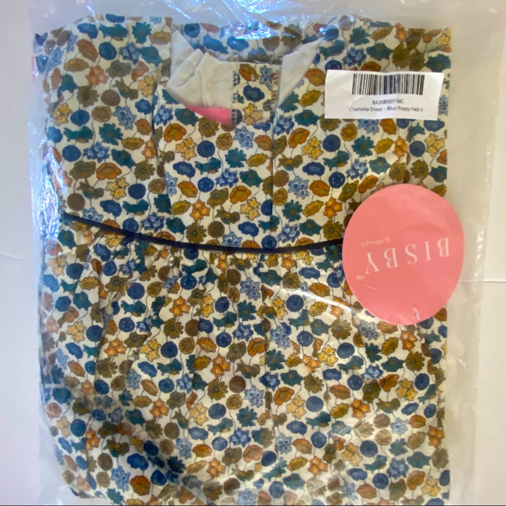 NWT Bisby Charlotte Dress in Blue Poppy Fields - Size 6
